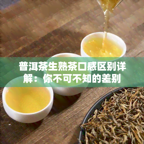 普洱茶生熟茶口感区别详解：你不可不知的差别