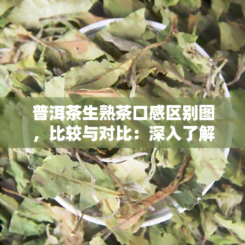 普洱茶生熟茶口感区别图，比较与对比：深入了解普洱茶生熟茶的口感差异