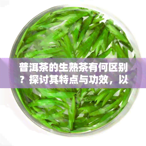 普洱茶的生熟茶有何区别？探讨其特点与功效，以及生茶和熟茶的价值比较