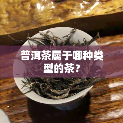 普洱茶属于哪种类型的茶？