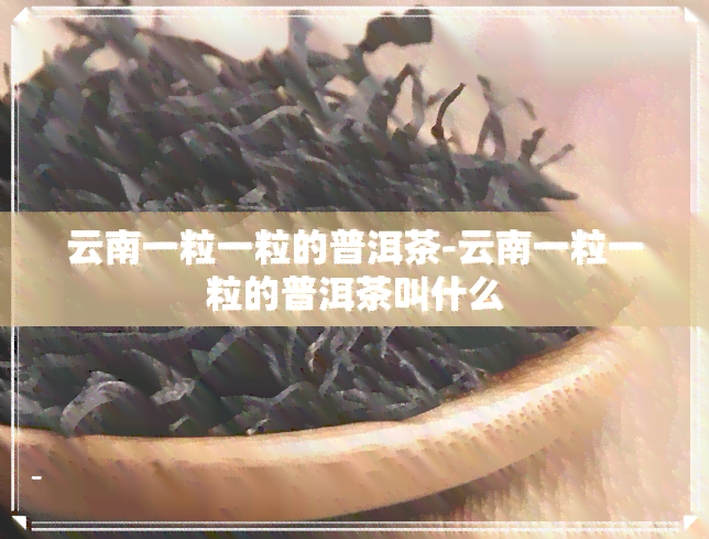 云南一粒一粒的普洱茶-云南一粒一粒的普洱茶叫什么