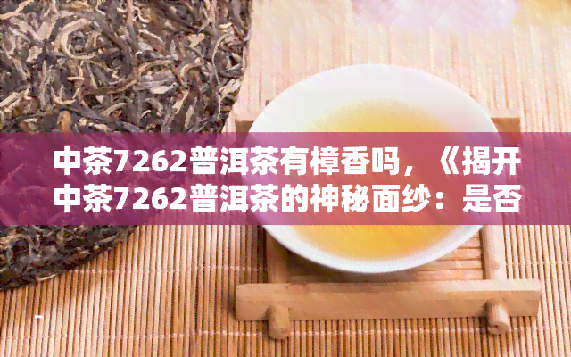 中茶7262普洱茶有樟香吗，《揭开中茶7262普洱茶的神秘面纱：是否有樟香？》