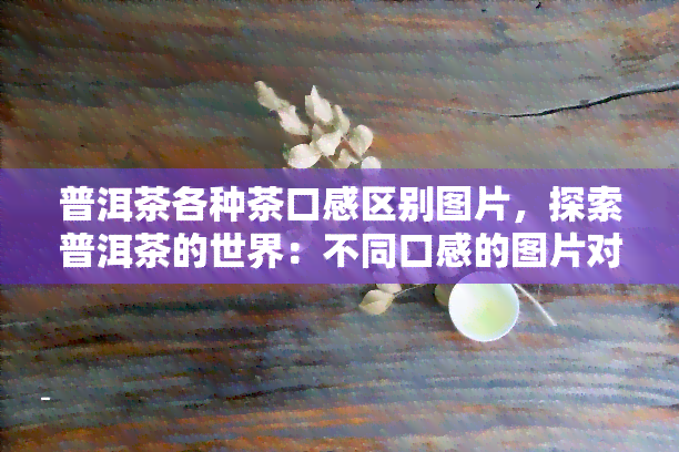 普洱茶各种茶口感区别图片，探索普洱茶的世界：不同口感的图片对比