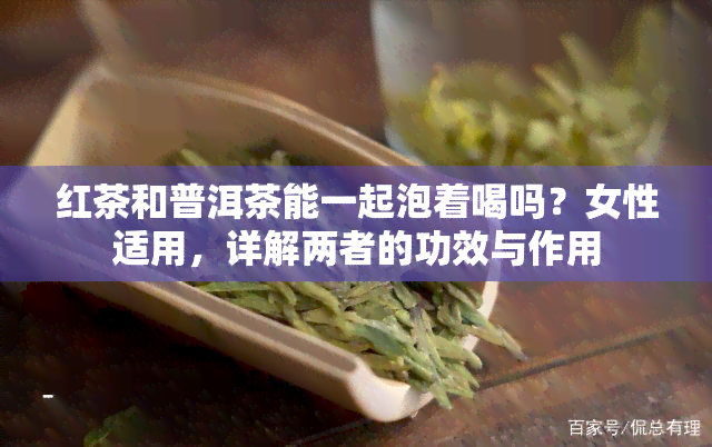 红茶和普洱茶能一起泡着喝吗？女性适用，详解两者的功效与作用