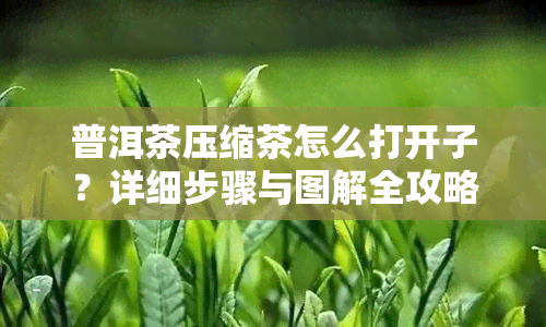 普洱茶压缩茶怎么打开子？详细步骤与图解全攻略！