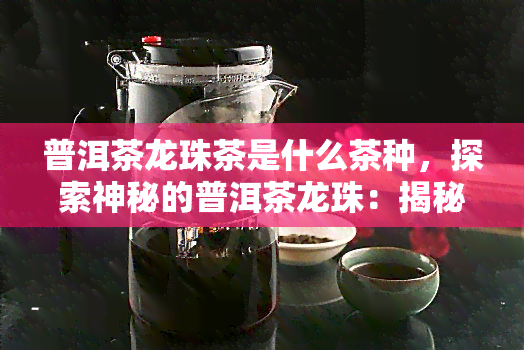 普洱茶龙珠茶是什么茶种，探索神秘的普洱茶龙珠：揭秘其所属的茶种种类