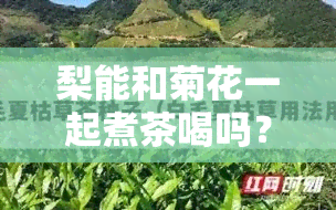 梨能和菊花一起煮茶喝吗？功效、孕妇、女人适用，煮水还是熬制？