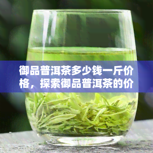 御品普洱茶多少钱一斤价格，探索御品普洱茶的价格：一斤要多少钱？