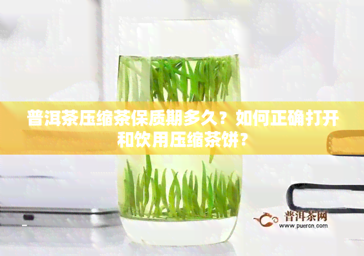 普洱茶压缩茶保质期多久？如何正确打开和饮用压缩茶饼？