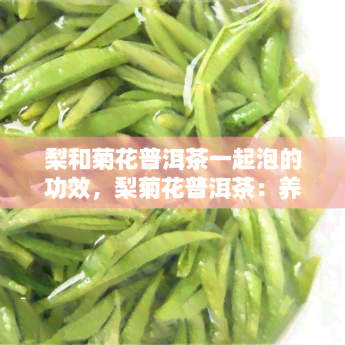 梨和菊花普洱茶一起泡的功效，梨菊花普洱茶：养生新宠，一次泡饮多重功效