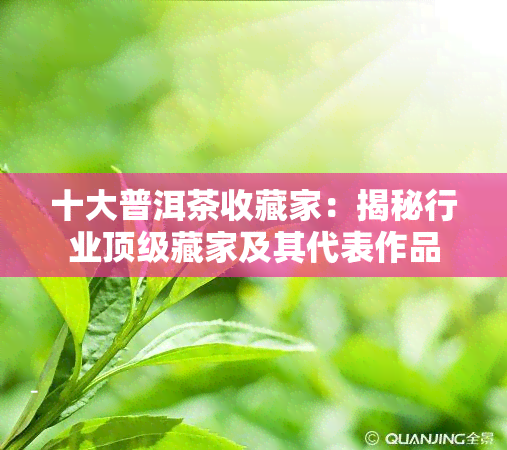 十大普洱茶收藏家：揭秘行业顶级藏家及其代表作品