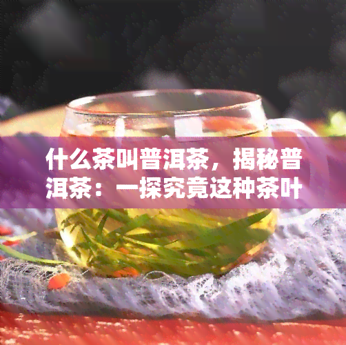 什么茶叫普洱茶，揭秘普洱茶：一探究竟这种茶叶的由来与特点