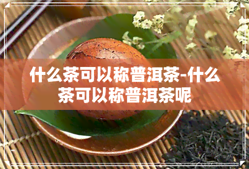 什么茶可以称普洱茶-什么茶可以称普洱茶呢