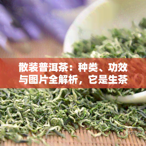 散装普洱茶：种类、功效与图片全解析，它是生茶还是熟茶？