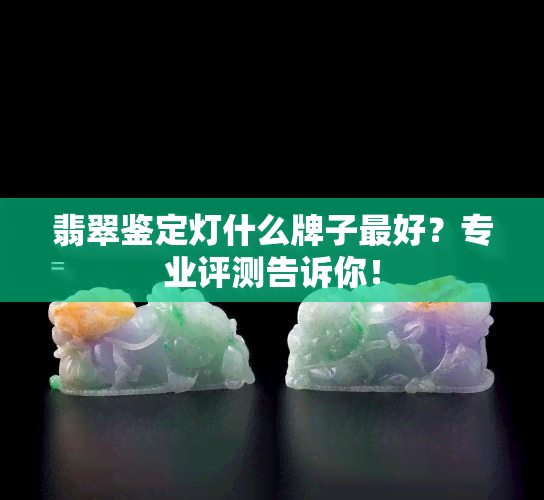 翡翠鉴定灯什么牌子更好？专业评测告诉你！