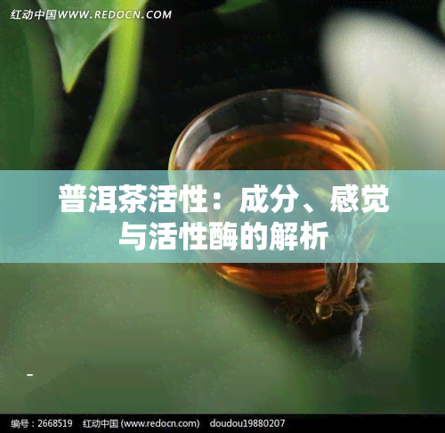 普洱茶活性：成分、感觉与活性酶的解析