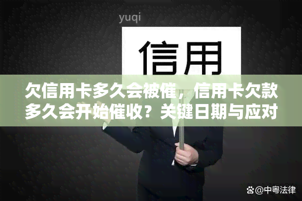 欠信用卡多久会被催，信用卡欠款多久会开始？关键日期与应对策略