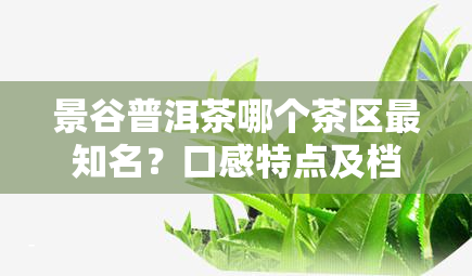 景谷普洱茶哪个茶区最知名？口感特点及档次解析