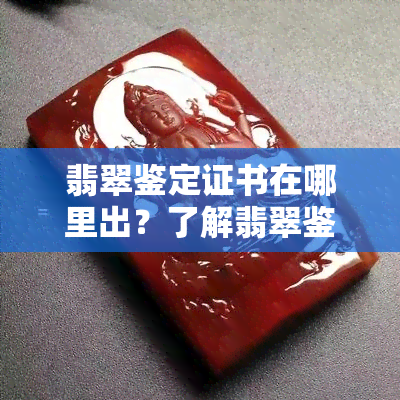 翡翠鉴定证书在哪里出？了解翡翠鉴定证书的相关信息