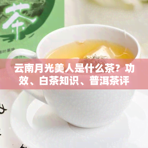 云南月光美人是什么茶？功效、白茶知识、普洱茶评价及价格解析