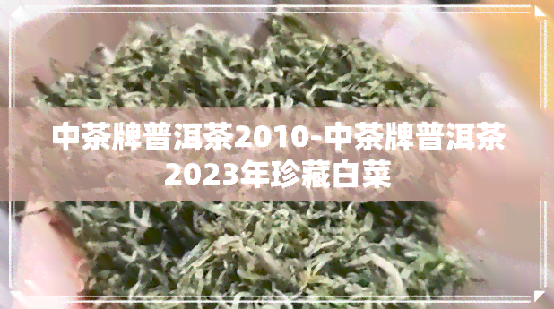 中茶牌普洱茶2010-中茶牌普洱茶2023年珍藏白菜