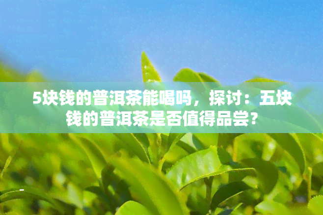 5块钱的普洱茶能喝吗，探讨：五块钱的普洱茶是否值得品尝？