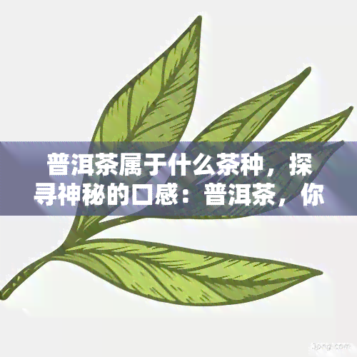 普洱茶属于什么茶种，探寻神秘的口感：普洱茶，你了解它的种类吗？