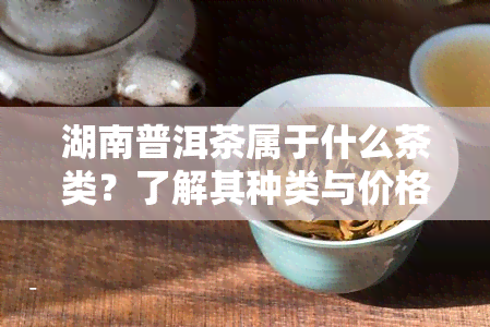 湖南普洱茶属于什么茶类？了解其种类与价格