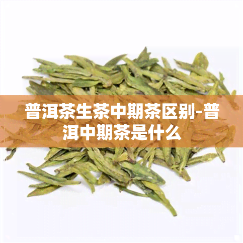 普洱茶生茶中期茶区别-普洱中期茶是什么