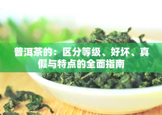 普洱茶的：区分等级、好坏、真假与特点的全面指南