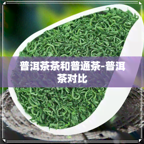 普洱茶茶和普通茶-普洱茶对比