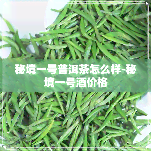 秘境一号普洱茶怎么样-秘境一号价格