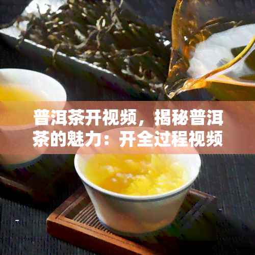 普洱茶开视频，揭秘普洱茶的魅力：开全过程视频解析