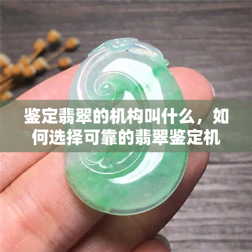 鉴定翡翠的机构叫什么，如何选择可靠的翡翠鉴定机构？