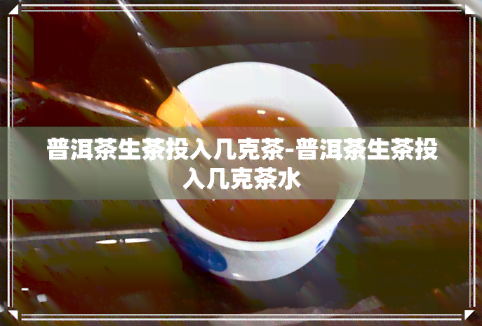 普洱茶生茶投入几克茶-普洱茶生茶投入几克茶水