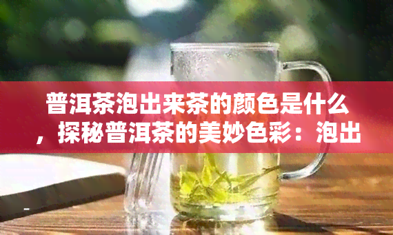 普洱茶泡出来茶的颜色是什么，探秘普洱茶的美妙色彩：泡出来的茶色是什么？