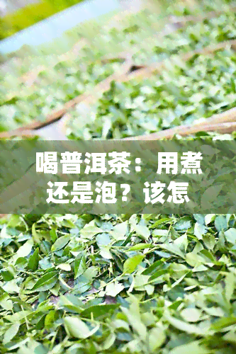 喝普洱茶：用煮还是泡？该怎么做？