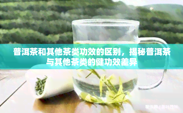 普洱茶和其他茶类功效的区别，揭秘普洱茶与其他茶类的健功效差异