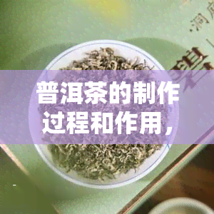 普洱茶的制作过程和作用，深入了解：普洱茶的制作过程与神奇功效