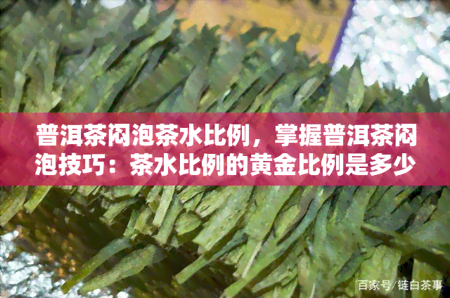 普洱茶闷泡茶水比例，掌握普洱茶闷泡技巧：茶水比例的黄金比例是多少？