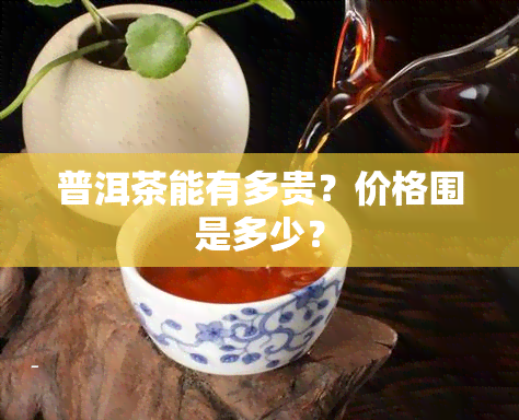 普洱茶能有多贵？价格围是多少？