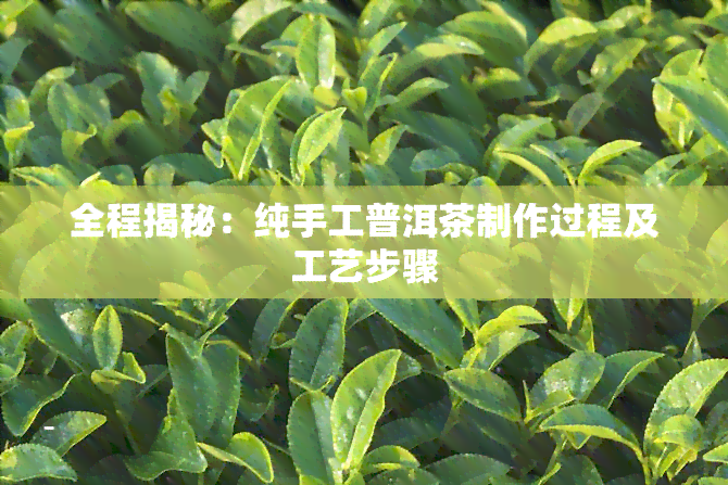 全程揭秘：纯手工普洱茶制作过程及工艺步骤