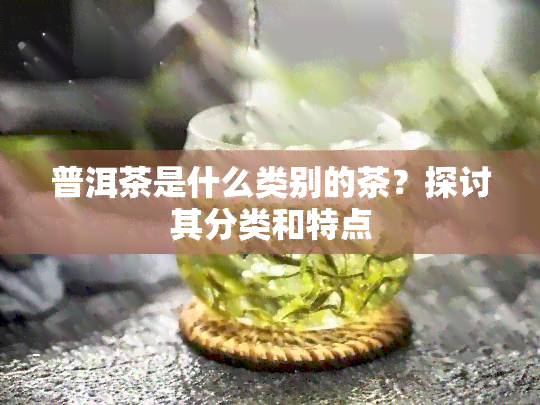 普洱茶是什么类别的茶？探讨其分类和特点