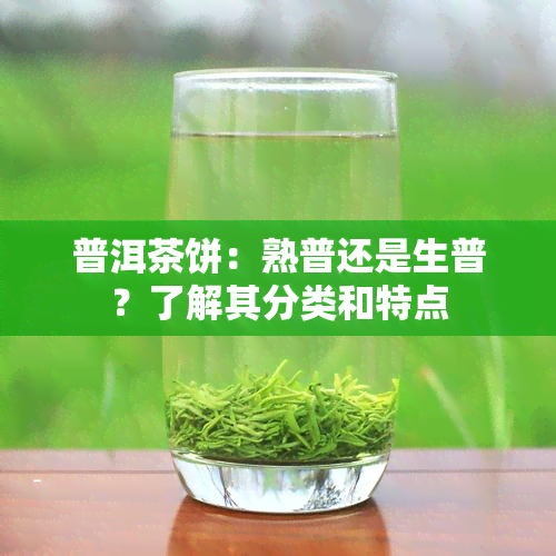 普洱茶饼：熟普还是生普？了解其分类和特点