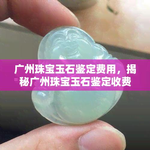 广州珠宝玉石鉴定费用，揭秘广州珠宝玉石鉴定收费明细，避免被坑！