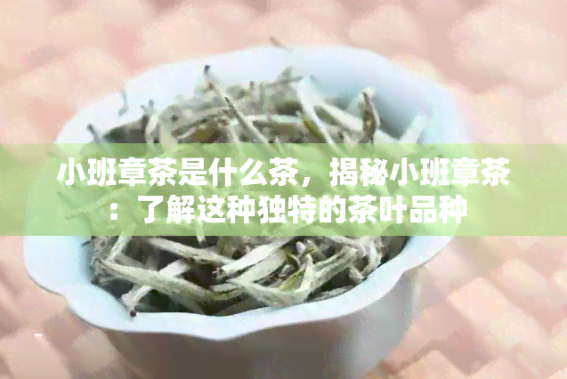 小班章茶是什么茶，揭秘小班章茶：了解这种独特的茶叶品种