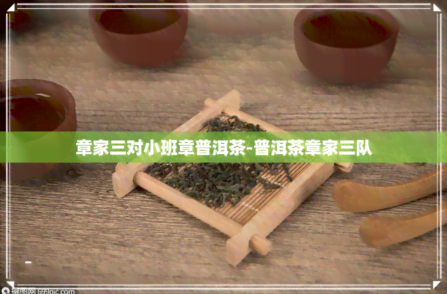 章家三对小班章普洱茶-普洱茶章家三队