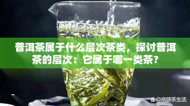 普洱茶属于什么层次茶类，探讨普洱茶的层次：它属于哪一类茶？