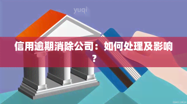 信用逾期消除公司：如何处理及影响？