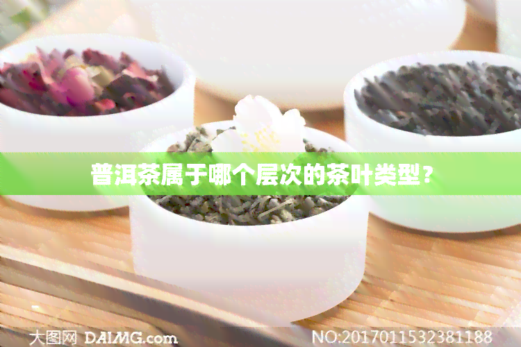 普洱茶属于哪个层次的茶叶类型？